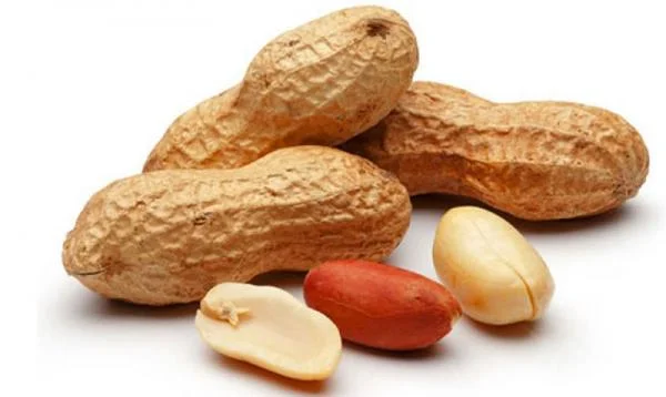 بادام زمینی تازه و اصل