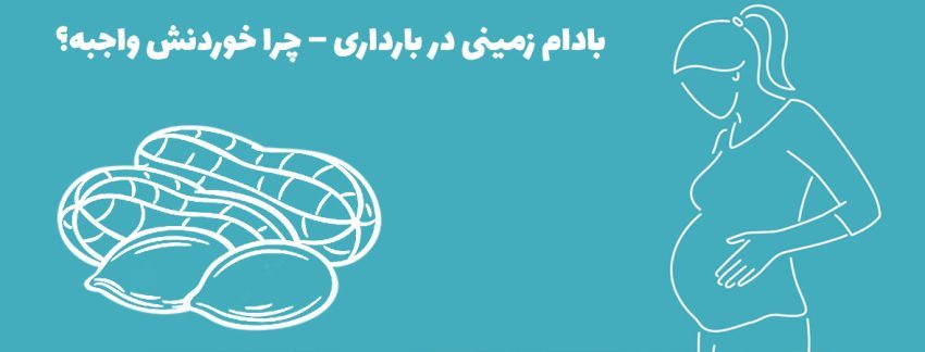 مصرف بادام زمینی در باردای