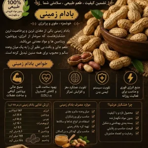 خواص بادام زمینی برای بدن