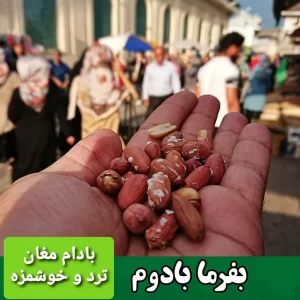 فواید بادام زمینی برای مردان