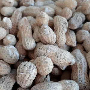 بادام زمینی با پوست شور