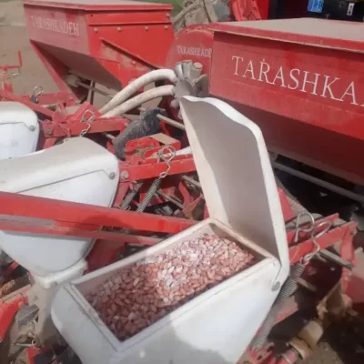 بذر بادام زمینی در دستگاه بذرکار