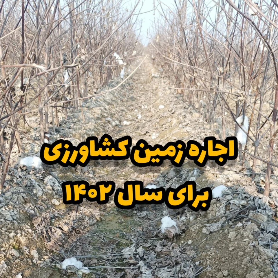 اجاره زمین کشاورزی