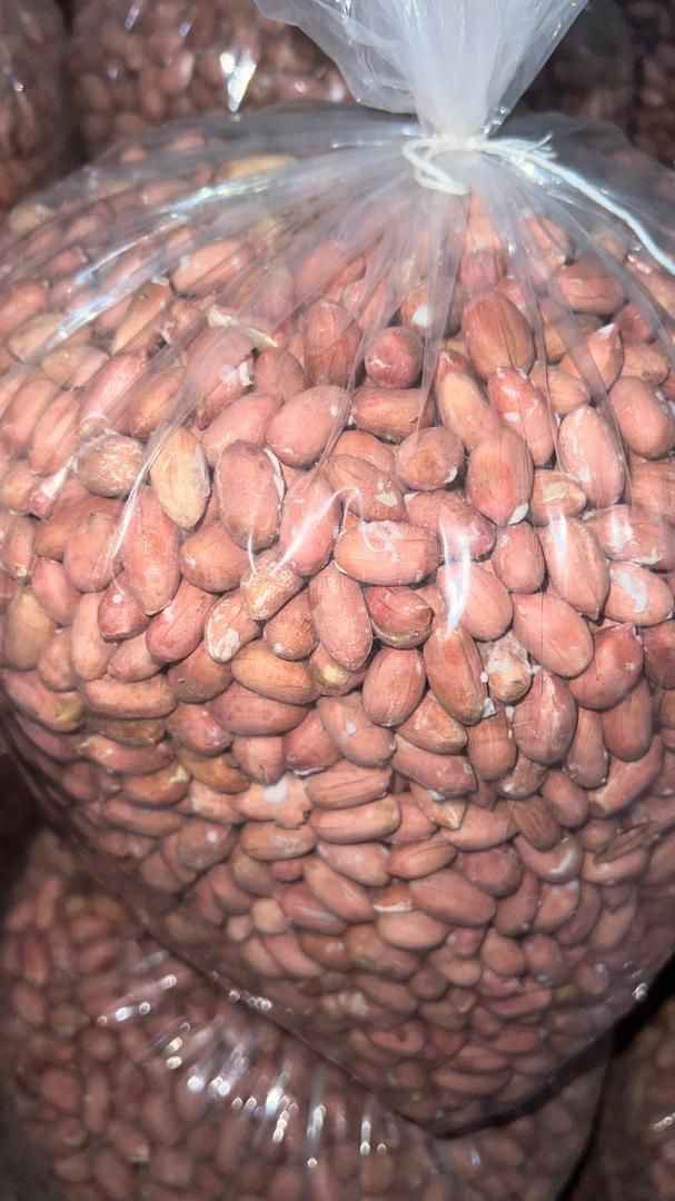 IMG-20251219-WA0000_11zon مغز بادام زمینی آستانه