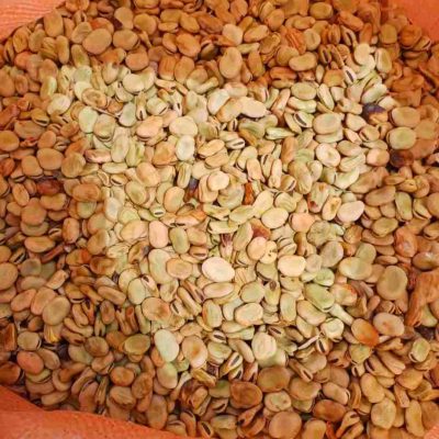 خرید و قیمت باقلا عمده ۱۰۰ کیلو فله ای