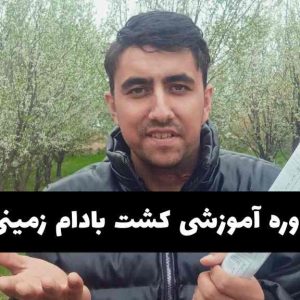 دوره آموزشی کشت بادام زمینی