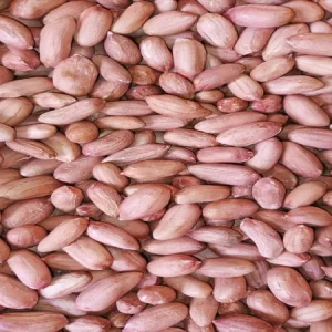 بذر بادام زمینی از نزدیک
